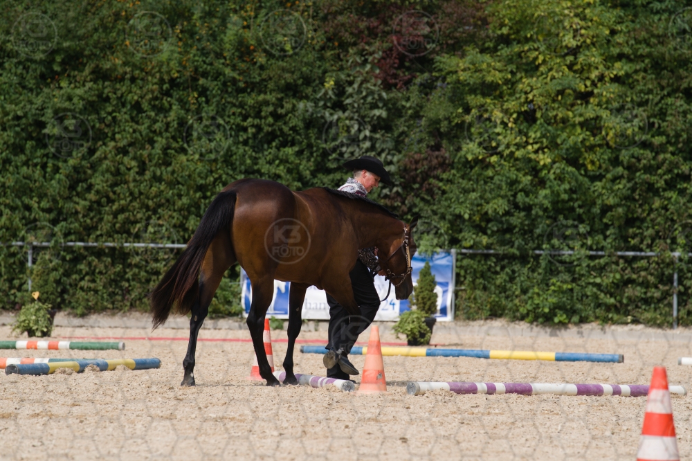 s_batch_A9_00112.jpg